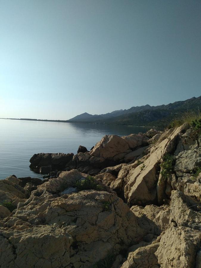 Apartman Larus Starigrad Exterior photo