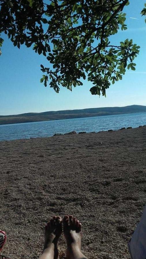 Apartman Larus Starigrad Exterior photo